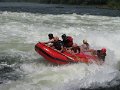 664 652 IMG_2758